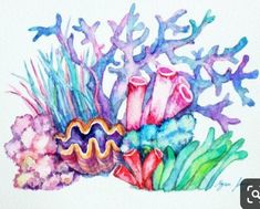 a watercolor painting of corals and seaweed