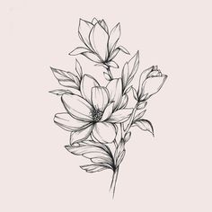 a black and white drawing of flowers