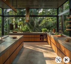 a large kitchen with lots of counter space and plants in the window sill area