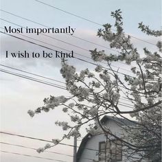 a tree with white flowers in the foreground and power lines in the background that says, most importantly i wish to be kind