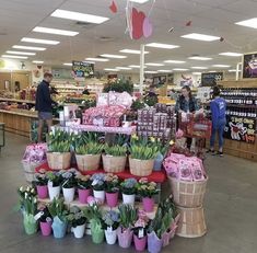 people shopping in a grocery store filled with lots of plants and flowers on display for sale