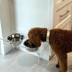 a brown dog eating out of a metal bowl on top of a white countertop