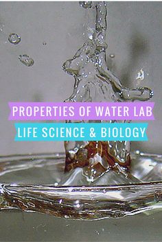 the words properties of water lab life science and biology in front of a splash of water