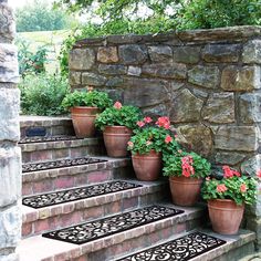 some potted flowers are sitting on the steps