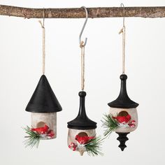 two birdhouses hanging from a tree branch decorated with christmas decorations and pine cones on them