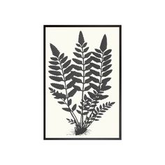 A large fern print in black and white with a black frame. Fern Artwork, Beach Sketches, Elephant Sketch, Watercolor Barns, Painted Slate, Abstract Cloud, Tile Wall Art, Textile Wall Art, Shop Artwork