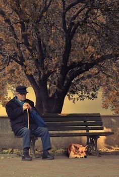 an old man sitting on a bench next to a dog under a tree with his cane