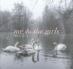 Girlblogger Aesthetic, Miss Americana, Aesthetic Tumblr, Girl Blog, Swans, What’s Going On