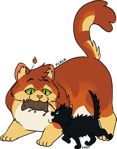 an orange and white cat with a mustache next to a black cat