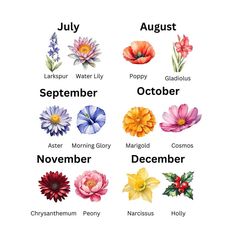 an image of flowers with names in english