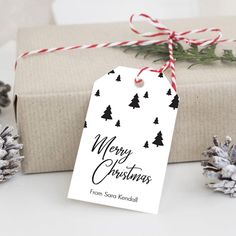 a present wrapped in white paper and tied with twine, next to pine cones