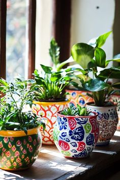 several pots with plants in them sitting on a window sill