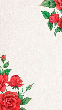 watercolor painting of red roses with green leaves on white paper, background or wallpaper