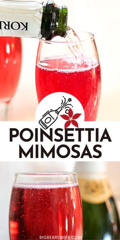 Santa Panties Drink, Winter Mimosa Recipe, Christmas Mimosa Bar, Christmas Mimosas, Christmas Drinks Alcohol Recipes, Xmas Drinks, Christmas Drinks Recipes, Bourbon Smash