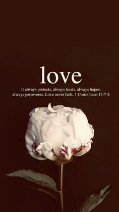 a white flower sitting on top of a black background with the words love above it