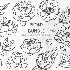 the peony bundle includes flowers and leaves