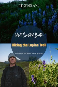 a man standing in front of purple flowers with the words, visiting base hiking the lupine trail