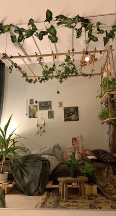 a living room with plants hanging from the ceiling