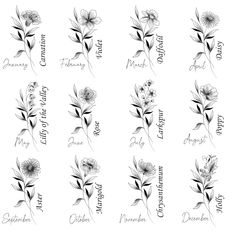 six different flowers with the names of each flower and their name written in black ink