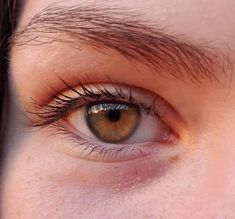 Pictures Of Eyes Close Up, Light Brown Eye Color, Tabatha Ricci, Honey Colored Eyes, Honey Brown Eyes, Brown Green Eyes, Light Green Eyes, Green Brown Eyes, Hazel Brown Eyes