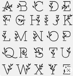 the alphabet is made up of leaves and letters