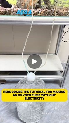 a water bottle sitting on top of a counter next to a fish tank with an electric cord