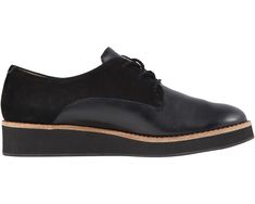 SoftWalk Willis | Zappos.com Casual Oxford Shoes For Work, Fall Workwear Low-top Lace-up Shoes, Low-top Oxfords For Workwear, Casual Oxfords With Contrast Sole For Work, Suede Lace-up Shoes With Rubber Sole For Work, Modern Low-top Oxfords For Work, Low-top Lace-up Shoes With Contrast Sole For Work, Low-top Oxfords With Contrast Sole For Work, Classic Suede Lace-up Shoes With Flat Heel