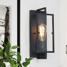 an outdoor light mounted on the wall next to a potted plant and framed photograph