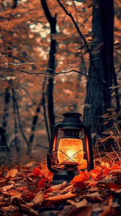 a lantern sitting on top of leaves in the woods