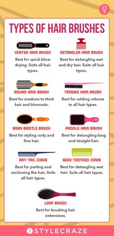 Hair Brush Guide, Types Of Hair Brushes, Stop Hair Breakage, Best Hair Brush, Round Hair Brush, Natural Hair Salons, Hair Maintenance Tips, Teased Hair