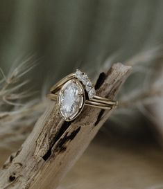 a close up of a ring on a piece of wood with feathers in the background