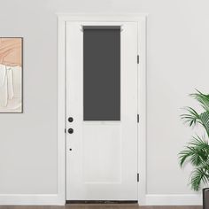 an empty room with a white door and potted plant