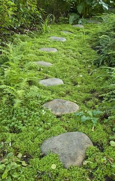 a path made out of rocks and grass