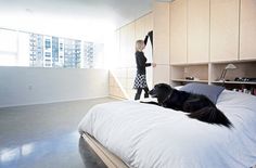 a black dog laying on top of a bed in a bedroom next to a woman