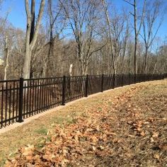 a black metal fence in the middle of a wooded area with leaves on the ground