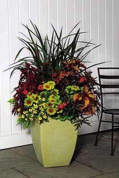 a large potted plant sitting next to a chair