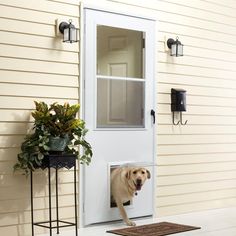 a dog is sticking its head through the screen door to get into the front door