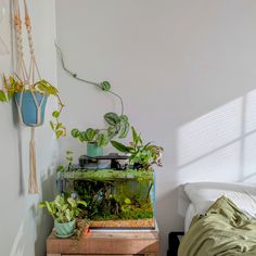 a bed room with a plant on top of it and a fish tank in the corner