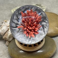 a glass vase with a flower in it on some rocks