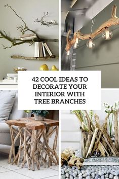 four different types of tree branches with text that reads, cool ideas to decorate your interior with tree branches