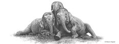 three elephants are sitting together in the grass