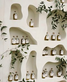 several bottles are lined up on the wall with plants growing out of them and hanging from hooks