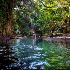 a woman standing in the middle of a river surrounded by lush green trees and foliage