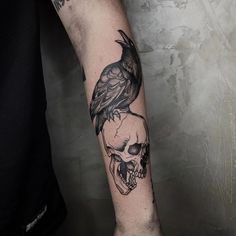 a black bird sitting on top of a skull with a raven on it's head