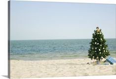 a christmas tree is on the beach by the water