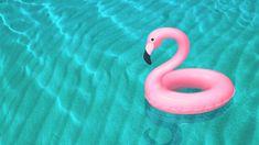 an inflatable flamingo floating on the water