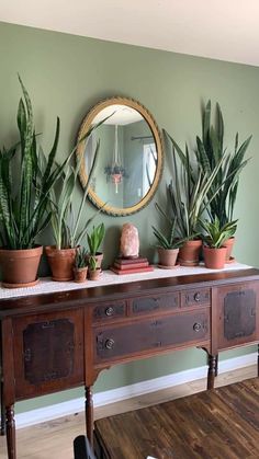 some plants are sitting on top of a wooden table in front of a round mirror