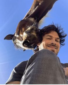 a man is smiling and petting a giraffe's head with his hands