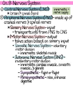 an image of the nervous system and its functions in order to help them understand what they are