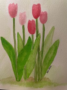 watercolor painting of pink tulips with green leaves